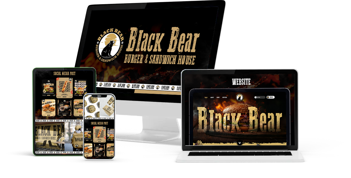 Professional Web Design and Branding Showcase for Business Growth